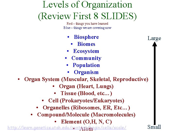 Levels of Organization (Review First 8 SLIDES) Red – things you have learned Blue