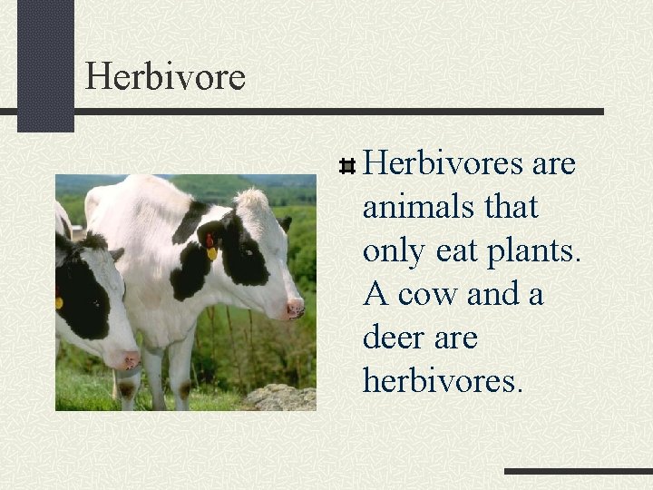 Herbivores are animals that only eat plants. A cow and a deer are herbivores.