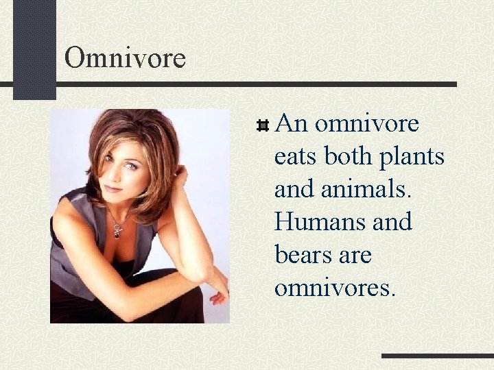 Omnivore An omnivore eats both plants and animals. Humans and bears are omnivores. 