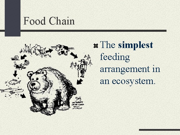 Food Chain The simplest feeding arrangement in an ecosystem. 