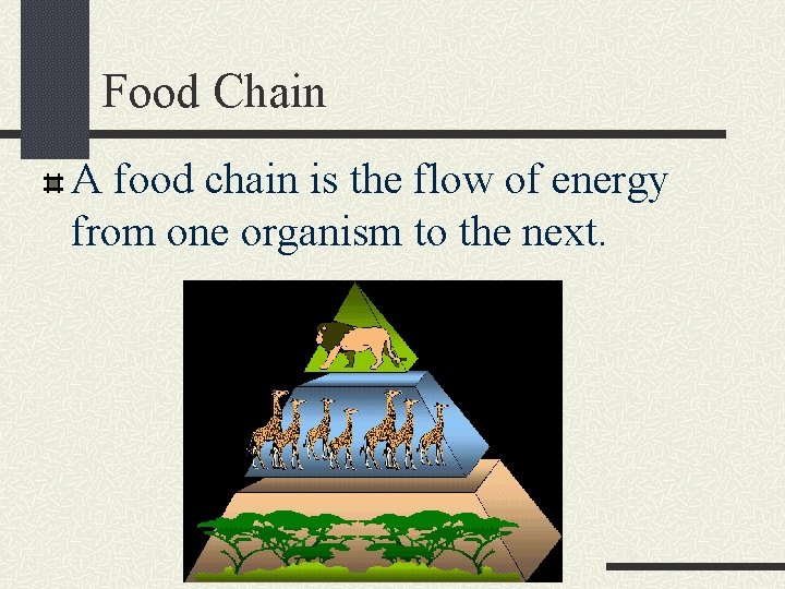 Food Chain A food chain is the flow of energy from one organism to