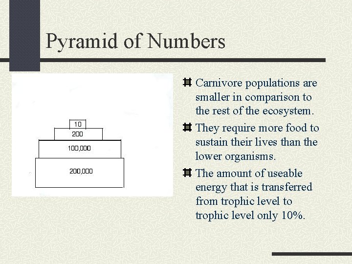 Pyramid of Numbers Carnivore populations are smaller in comparison to the rest of the