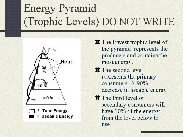 Energy Pyramid (Trophic Levels) DO NOT WRITE The lowest trophic level of the pyramid