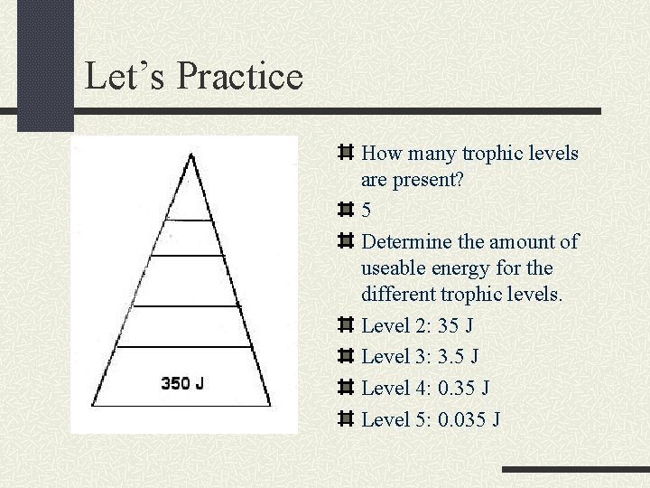 Let’s Practice How many trophic levels are present? 5 Determine the amount of useable
