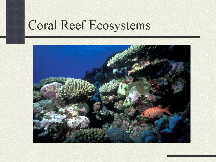 Coral Reef Ecosystems 