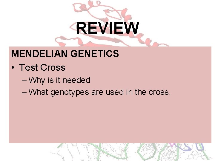 REVIEW MENDELIAN GENETICS • Test Cross – Why is it needed – What genotypes
