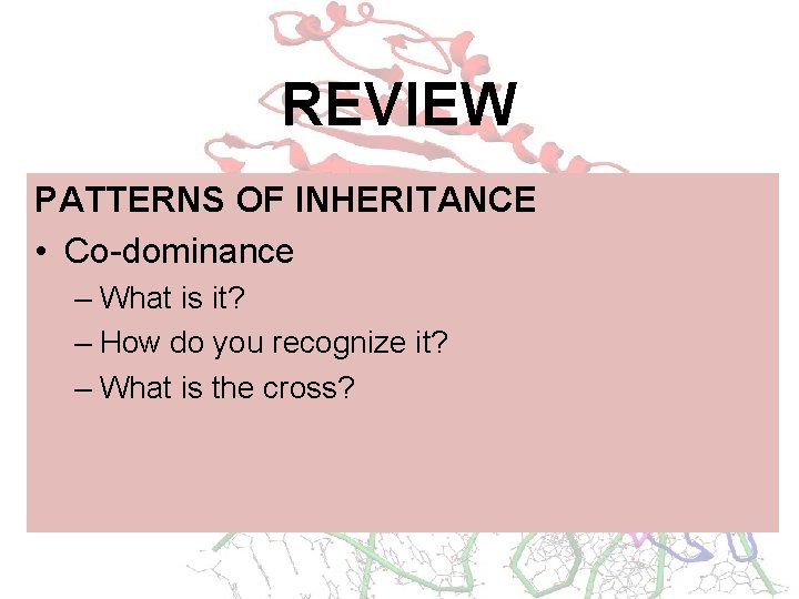 REVIEW PATTERNS OF INHERITANCE • Co-dominance – What is it? – How do you