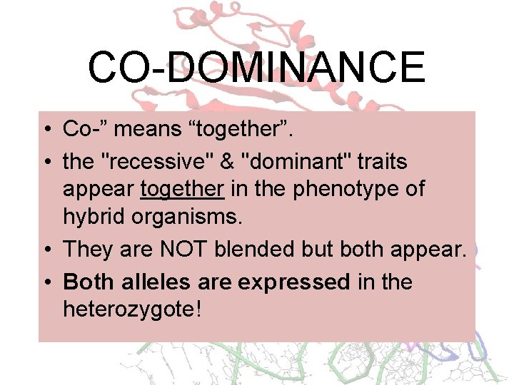 CO-DOMINANCE • Co-” means “together”. • the "recessive" & "dominant" traits appear together in