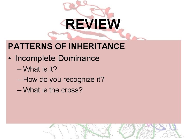REVIEW PATTERNS OF INHERITANCE • Incomplete Dominance – What is it? – How do