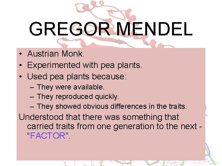 GREGOR MENDEL • Austrian Monk. • Experimented with pea plants. • Used pea plants