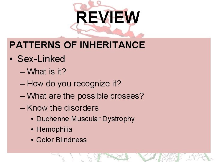 REVIEW PATTERNS OF INHERITANCE • Sex-Linked – What is it? – How do you