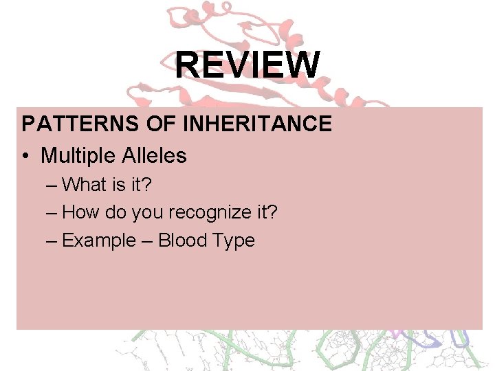 REVIEW PATTERNS OF INHERITANCE • Multiple Alleles – What is it? – How do