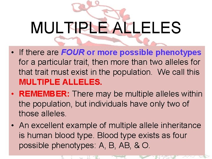 MULTIPLE ALLELES • If there are FOUR or more possible phenotypes for a particular