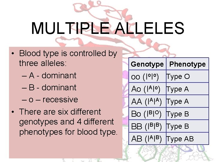 MULTIPLE ALLELES • Blood type is controlled by three alleles: – A - dominant