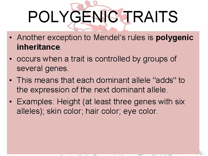 POLYGENIC TRAITS • Another exception to Mendel’s rules is polygenic inheritance. • occurs when