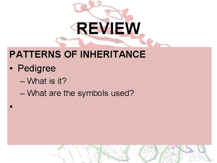 REVIEW PATTERNS OF INHERITANCE • Pedigree – What is it? – What are the