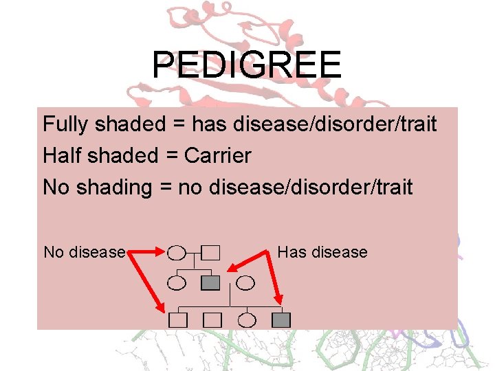 PEDIGREE Fully shaded = has disease/disorder/trait Half shaded = Carrier No shading = no