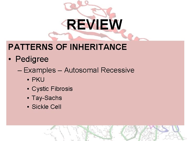 REVIEW PATTERNS OF INHERITANCE • Pedigree – Examples – Autosomal Recessive • • PKU