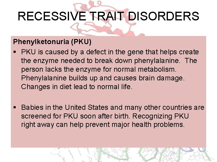 RECESSIVE TRAIT DISORDERS Phenylketonuria (PKU) § PKU is caused by a defect in the