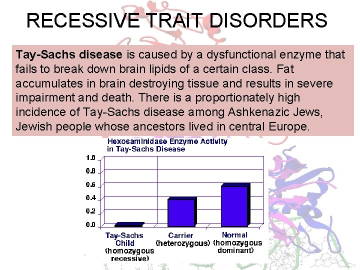 RECESSIVE TRAIT DISORDERS Tay-Sachs disease is caused by a dysfunctional enzyme that fails to