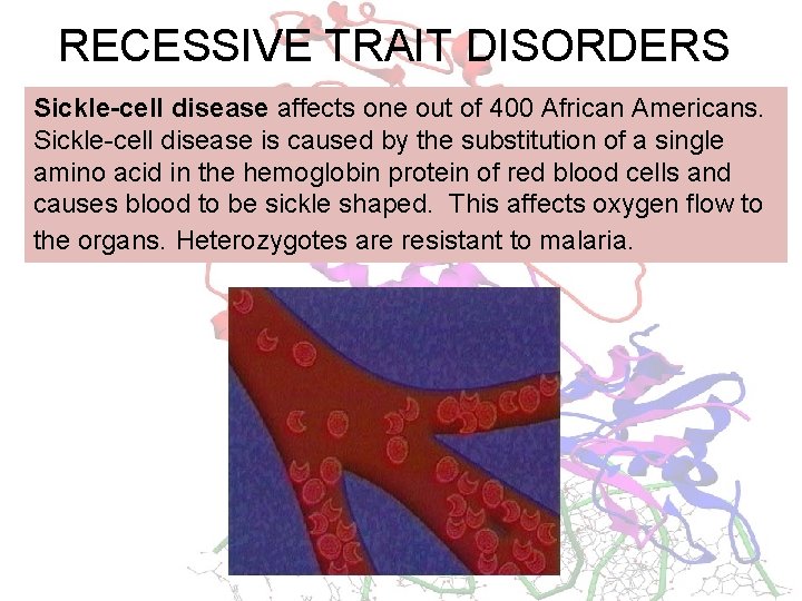 RECESSIVE TRAIT DISORDERS Sickle-cell disease affects one out of 400 African Americans. Sickle-cell disease