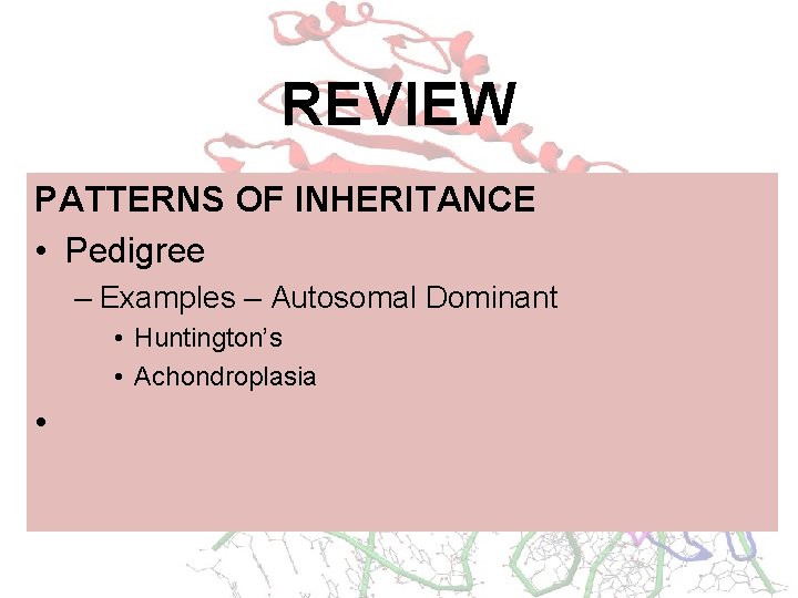 REVIEW PATTERNS OF INHERITANCE • Pedigree – Examples – Autosomal Dominant • Huntington’s •