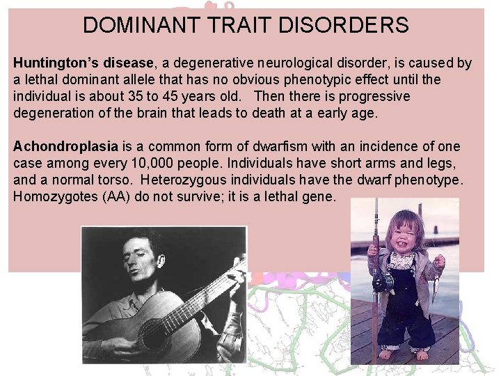 DOMINANT TRAIT DISORDERS Huntington’s disease, a degenerative neurological disorder, is caused by a lethal