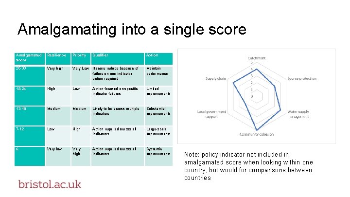 Amalgamating into a single score Amalgamated score Resilience Priority Qualifier Action 25 -30 Very Amalgamating into a single score Amalgamated score Resilience Priority Qualifier Action 25 -30 Very