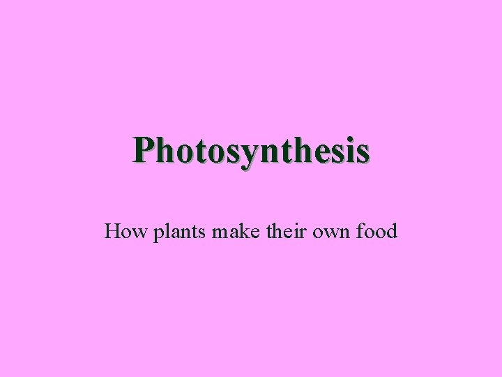 Photosynthesis How plants make their own food 