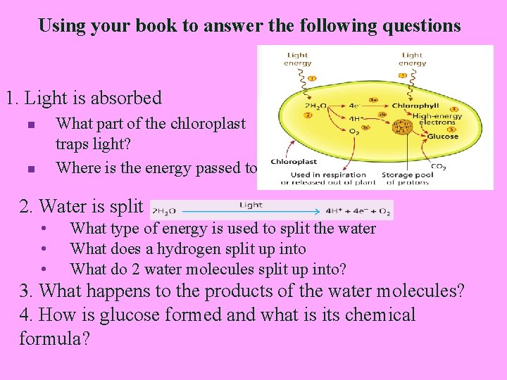 Using your book to answer the following questions 1. Light is absorbed What part