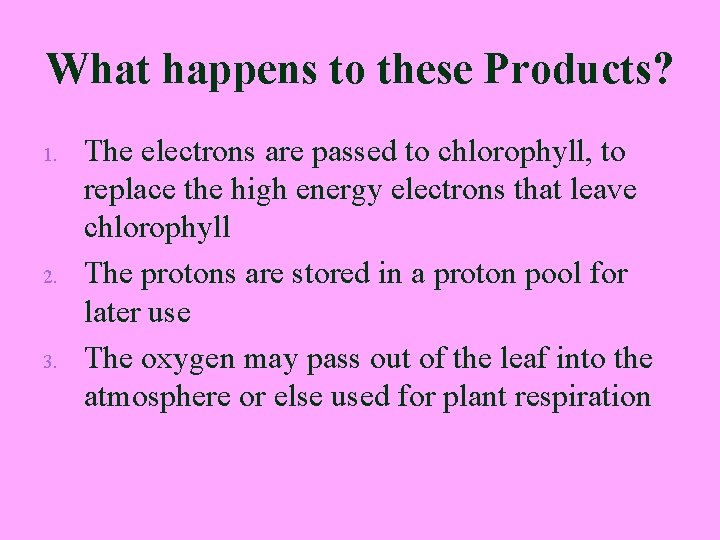 What happens to these Products? 1. 2. 3. The electrons are passed to chlorophyll,