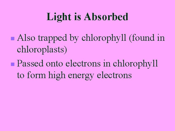 Light is Absorbed Also trapped by chlorophyll (found in chloroplasts) n Passed onto electrons