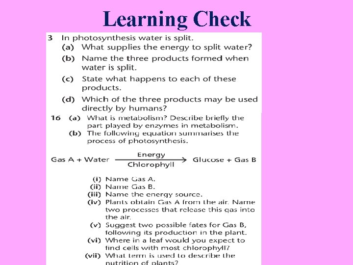 Learning Check 