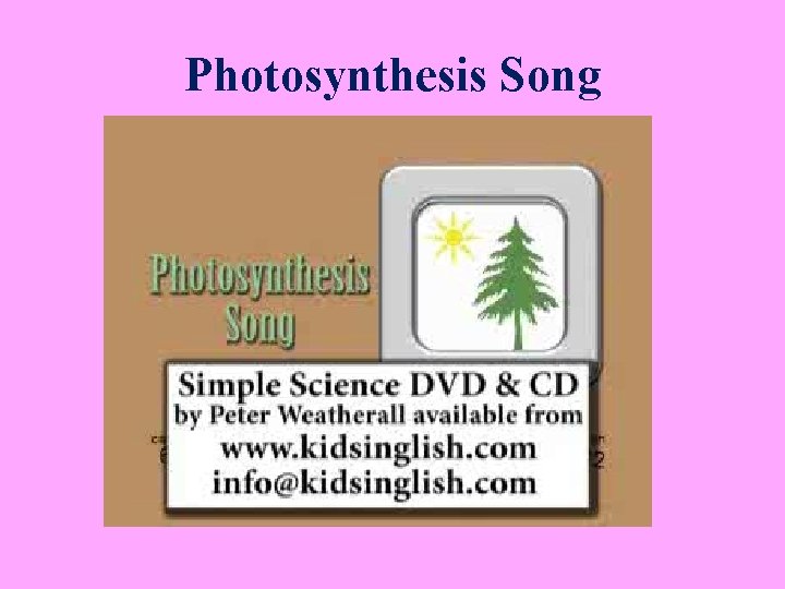 Photosynthesis Song 