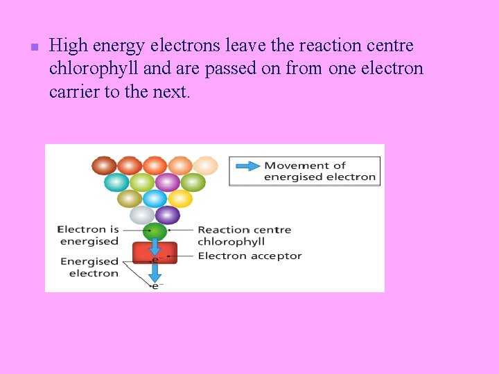 n High energy electrons leave the reaction centre chlorophyll and are passed on from