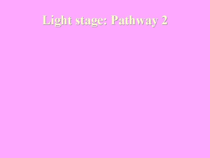 Light stage: Pathway 2 