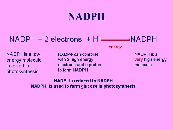 NADPH NADP+ + 2 electrons + H+ NADPH energy NADP+ is a low energy