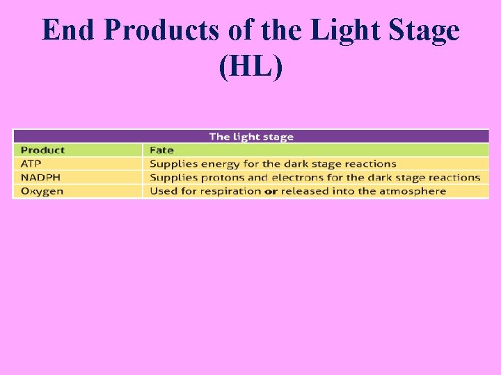 End Products of the Light Stage (HL) 