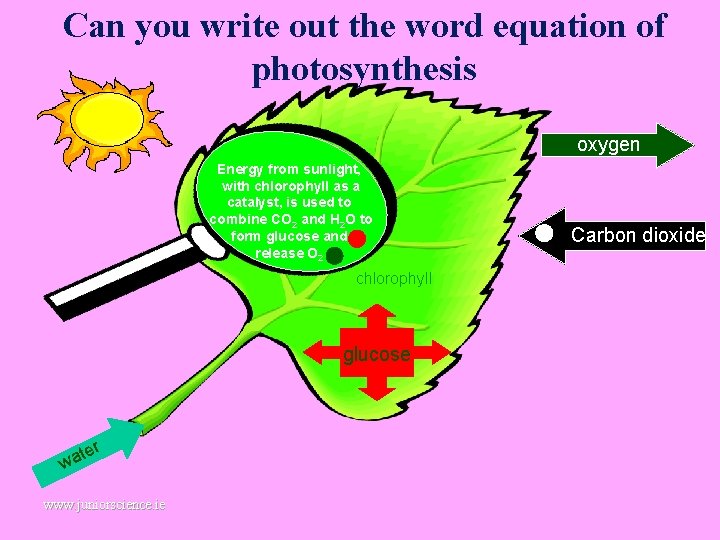 Can you write out the word equation of photosynthesis oxygen Energy from sunlight, with