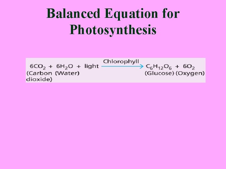 Balanced Equation for Photosynthesis 