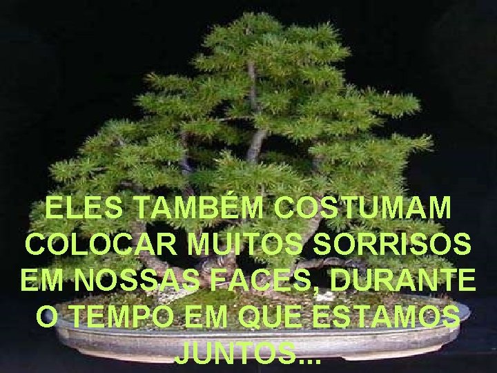 ELES TAMBÉM COSTUMAM COLOCAR MUITOS SORRISOS EM NOSSAS FACES, DURANTE O TEMPO EM QUE ELES TAMBÉM COSTUMAM COLOCAR MUITOS SORRISOS EM NOSSAS FACES, DURANTE O TEMPO EM QUE