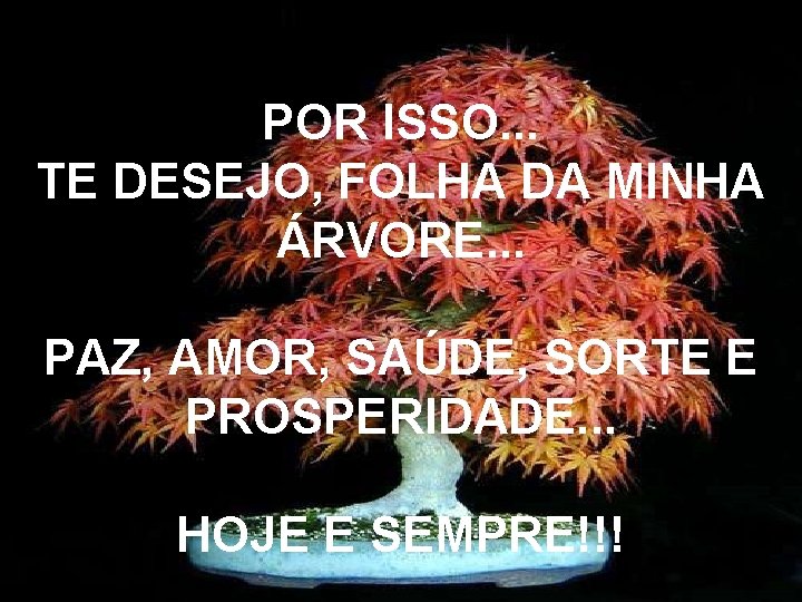 POR ISSO. . . TE DESEJO, FOLHA DA MINHA ÁRVORE. . . PAZ, AMOR,