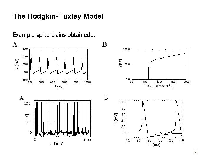 The Hodgkin-Huxley Model Example spike trains obtained… 14 