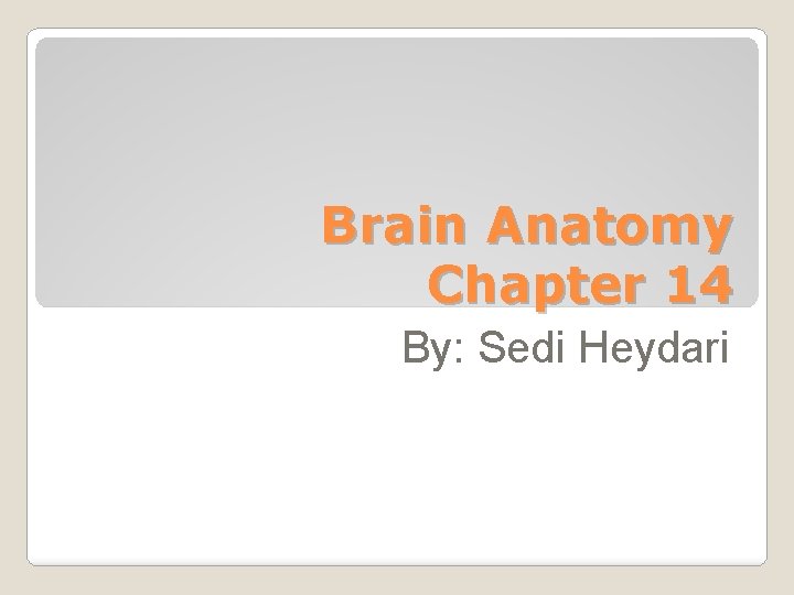 Brain Anatomy Chapter 14 By: Sedi Heydari 