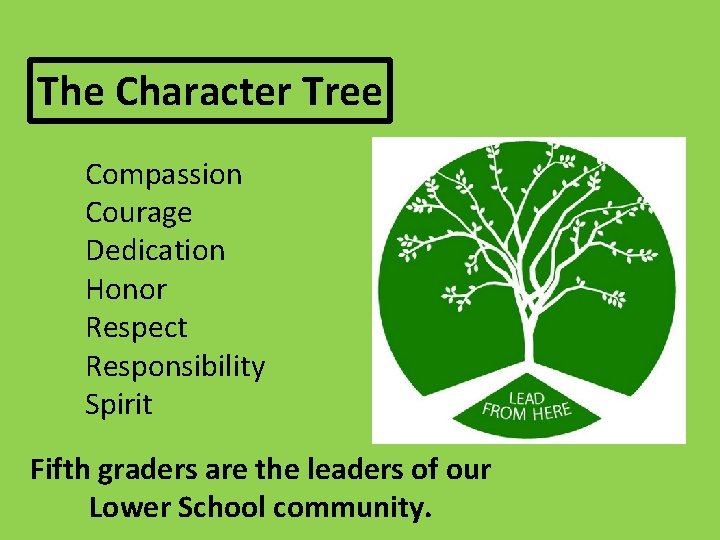 The Character Tree Compassion Courage Dedication Honor Respect Responsibility Spirit Fifth graders are the