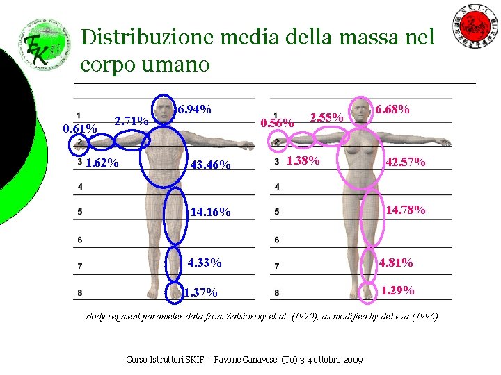 Distribuzione media della massa nel corpo umano 0. 61% 2. 71% 1. 62% 6.