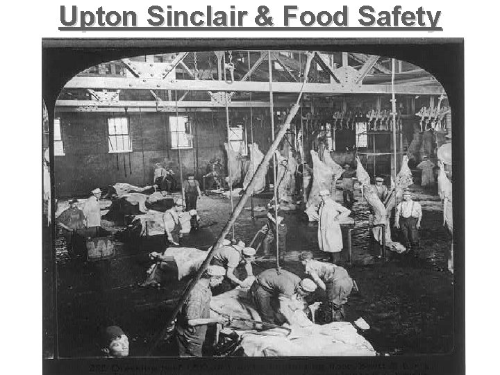 Upton Sinclair & Food Safety Upton Sinclair & Food Safety