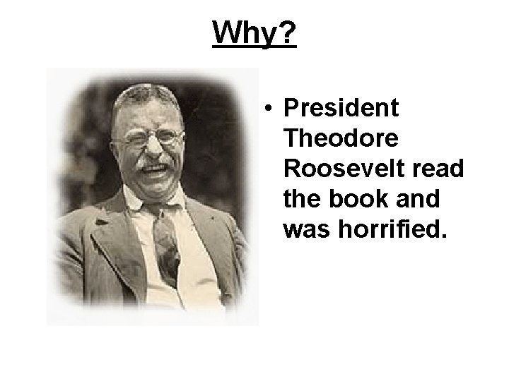 Why? • President Theodore Roosevelt read the book and was horrified. Why? • President Theodore Roosevelt read the book and was horrified.