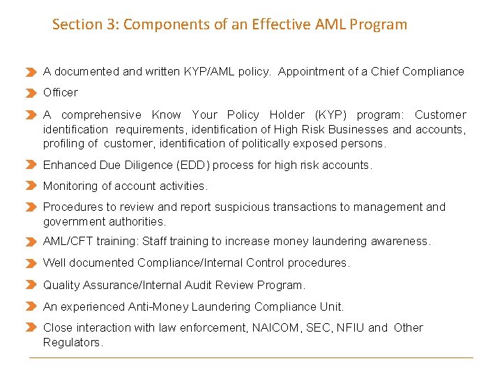 Section 3: Components of an Effective AML Program A documented and written KYP/AML policy.