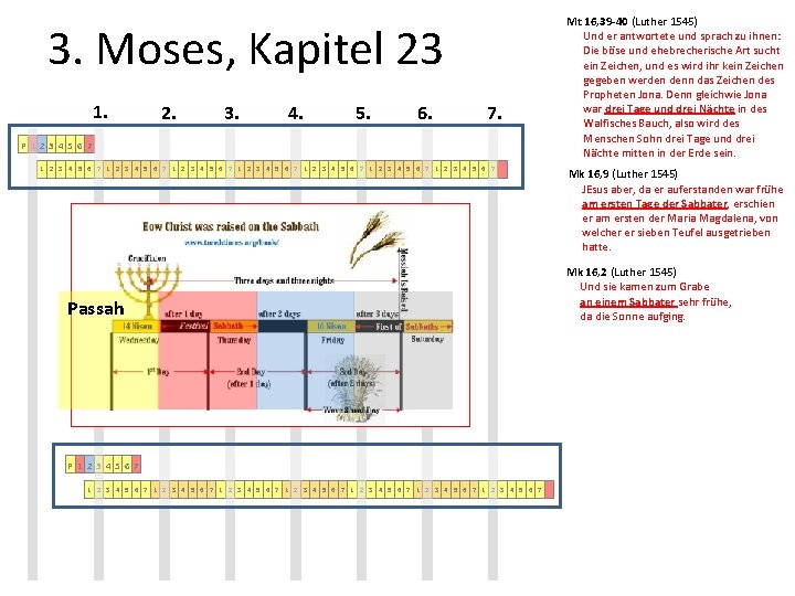 3. Moses, Kapitel 23 1. 2. 3. 4. 5. 6. 7. P 1 2